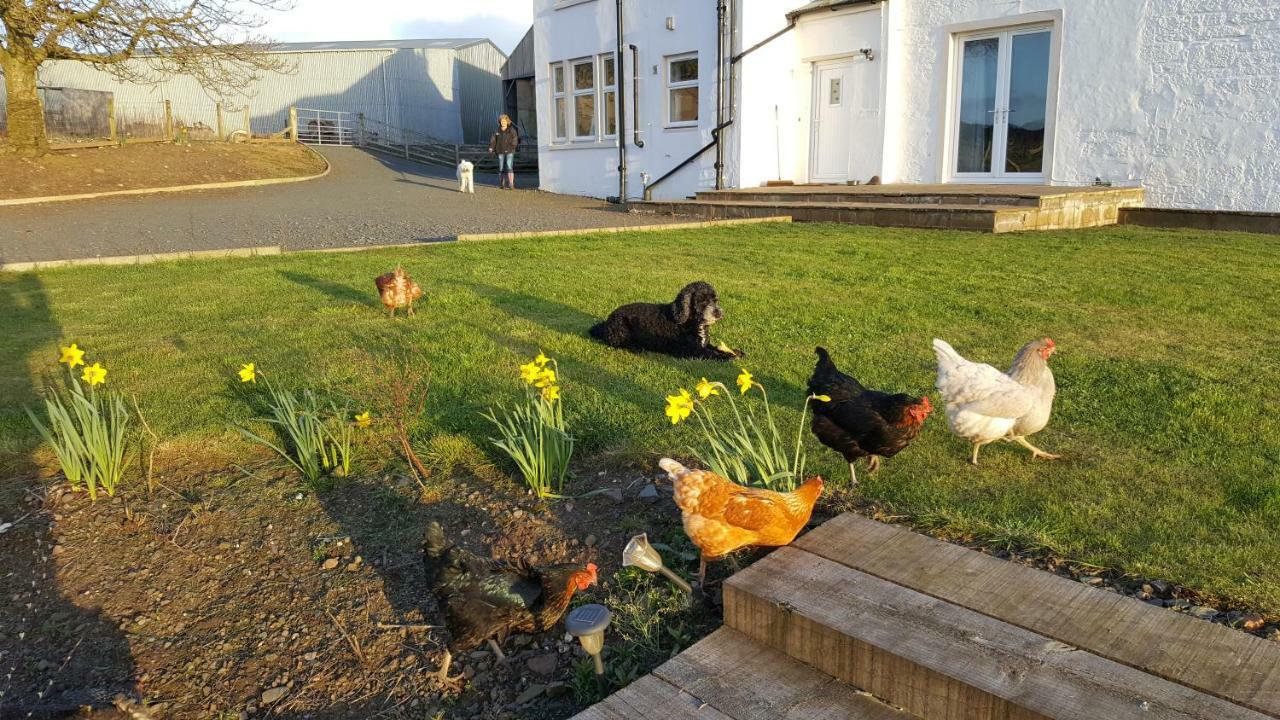Crofthead Farm House Tarbolton Bagian luar foto