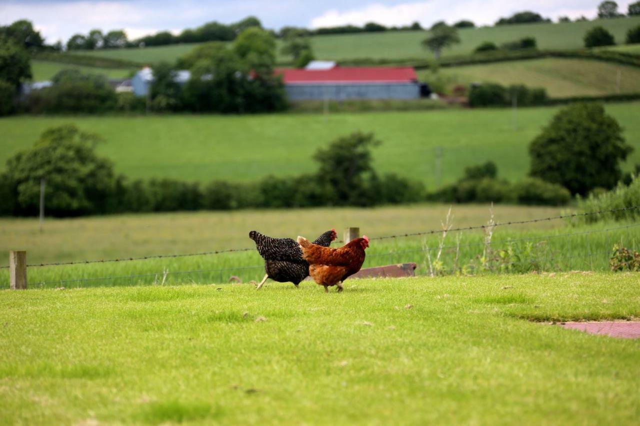 Crofthead Farm House Tarbolton Bagian luar foto