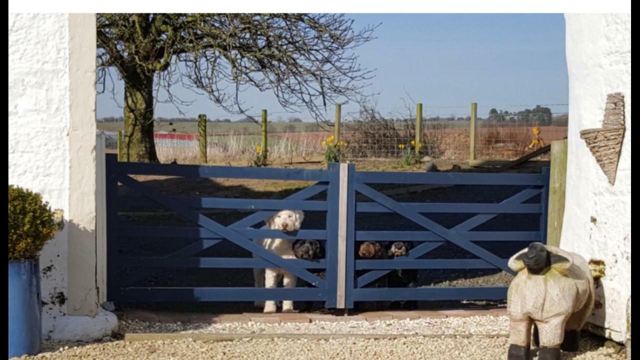 Crofthead Farm House Tarbolton Bagian luar foto